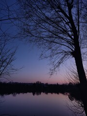 Lonely Tree Silhouette by the Lake at Sunset