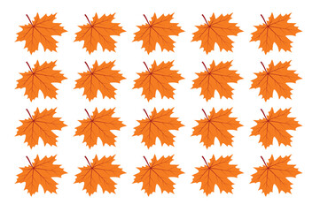 Autumn Maple Leaf Pattern: Vibrant Orange Fall Foliage, Seamless Repeat, White Background