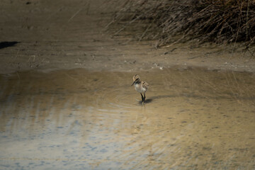 Obraz premium provenza 