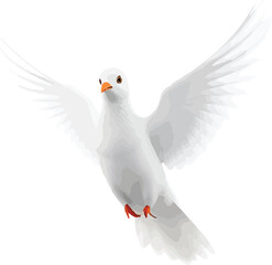 dove 3d
