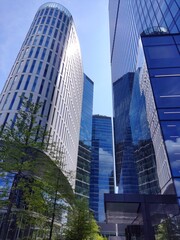 Glass Towers Reflecting Trees