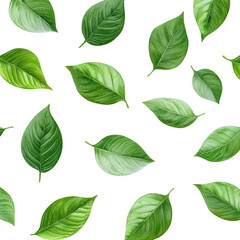 Obraz premium seamless background with green leaves, smooth, seamless backdrop adorned with green leaves, isolated on transparent background