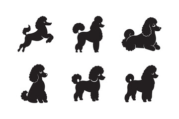 Poodle Silhouette Bundle Showing Six Habitual Poses