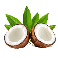 Two Halves of a Fresh Coconut with Green Leaves on halved coconut tropical fruit