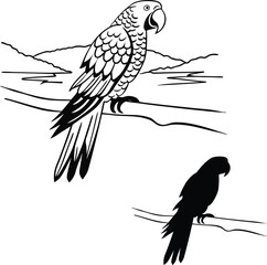 Parrot with Spread Wings Vector Illustration  
