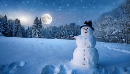 snow covered ground near snowman in moonlight snow moonlight white