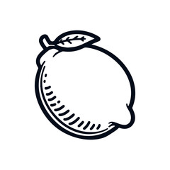 Lemon fruit icon vector