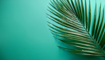 a single palm frond against a blue green background a simple composition for tropical themed designs