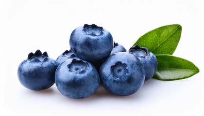 Fototapeta premium fresh blueberry on white background