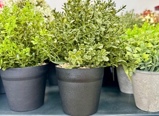artificial flowers in a pot on a shelf in a store. High quality photo