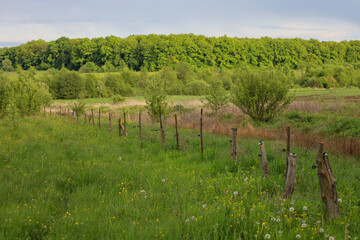 A rural landscape with a green field bordering a forest and a simple wooden fence in the foreground...