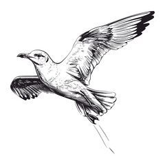 Flying Seagull Sketch – Hand Drawn Black and White Bird Illustration