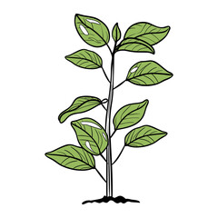 Colorful Plant with Roots and Soil – Botanical Growth Vector Illustration