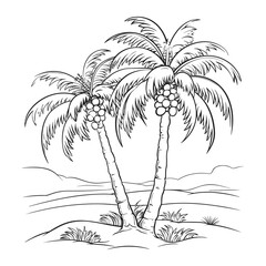 Hand Drawn Coconut Palm Trees on Tropical Beach in Black and White