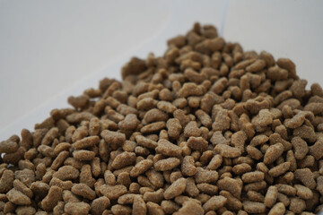 Food for animals background. Dry cat and dog food texture. Pet meal background close up