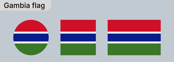 
Gambia Flag – Vector Illustration on Gray Background.