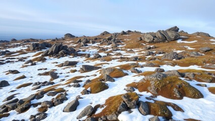 Rocky Tundra Landscape with Patches of Snow
