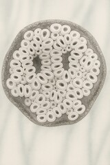 Obraz premium A detailed scientific illustration of a biological cross section viewed under a microscope, showing a dense circular arrangement of ring-like cells with central indentations.