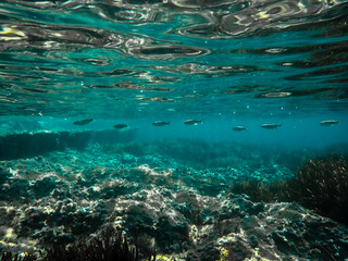 Ocean blue underwater with sunrays, Underwater Sea Deep Water Abstract Sunshine, sea wave , clean...