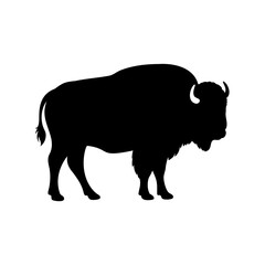 Buffalo silhouette vector, Bison buffalo black silhouette