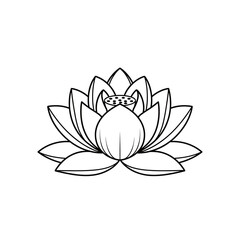 Obraz premium A detailed line drawing of a blooming lotus flower, showing petals.