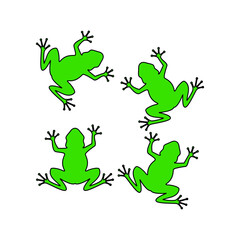 green frog on white background