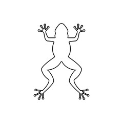 frog line icon