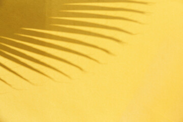 Abstract yellow background with shadow of palm leaf creating a dynamic pattern, evoking a tropical and sunny atmosphere. The composition plays with light and form, focusing on nature.