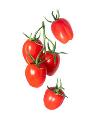 Ripe cherry tomatoes on vine on a transparent background
