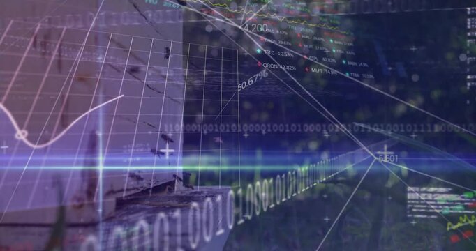 Blue flare sweeping yard, wooden hive data overlays growing, graphs rising, tracking yield