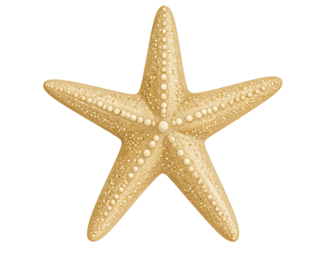 A starfish. The starfish is tan and has a lot of small dots on it. Isolated on transp