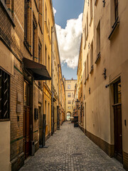 Narrow Cobblestone Alleyway Between Historic Tall Buildings Under Daytime Sky