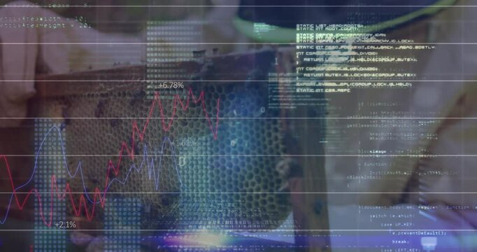 Senior beekeeper positioning honeycomb frame and activating digital overlay tracking hive health