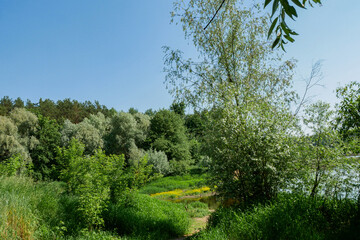 Simple summer rural European landscape.