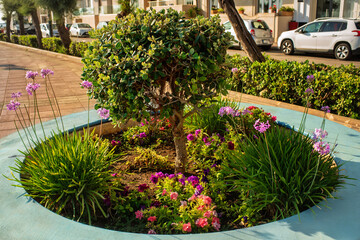 Round flowerbed with a lush green shrub, blooming pink and purple flowers, and ornamental grass in...