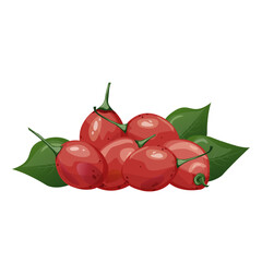 Tamarillo. Exotic tropical tomato tree fruit. For food blogs or recipe websites, packaging, catalogs or educational posters, menus, printables and teaching materials