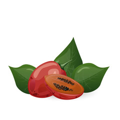 Tamarillo. Exotic tropical tomato tree fruit. For food blogs or recipe websites, packaging, catalogs or educational posters, menus, printables and teaching materials