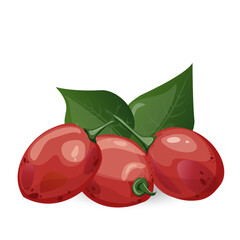ДляTamarillo. Exotic tropical tomato tree fruit. For food blogs or recipe websites, packaging, catalogs or educational posters, menus, printables and teaching materials
