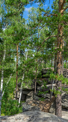 Small Devils rock, Devil's Hillfort complex on sunny summer day. Iset Park, Iset village, Sverdlovsk region, Russia. Hiking. Pine trees on rock. Vertical image