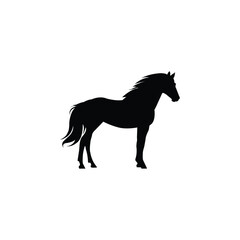 Black Silhouette of Standing Horse Vector. Farm Animal and Racing Icon Illustration.
