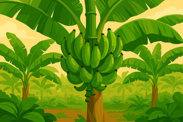 Tropical Banana Plantation with Green Banana Bunches. Lush Banana Trees, Large Leaves, Exotic Jungle Farm, Tropical Agriculture Concept, Organic Farm Landscape, Harvesting Natural Fruit Vector