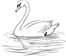 Elegant Black and White Swan Illustration, Vector Graphic