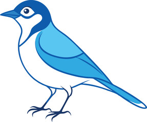 Obraz premium Minimal Jay Bird Clean Line Drawing