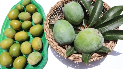 Organic freshly plucked small yellow ripe mangos and raw green mangos with green mango leaves in basket