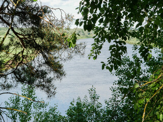 Simple forest summer landscape with a pond.