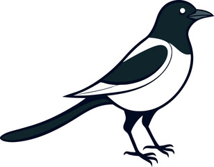 Fototapeta premium Magpie Bird Line Drawing Vector Art