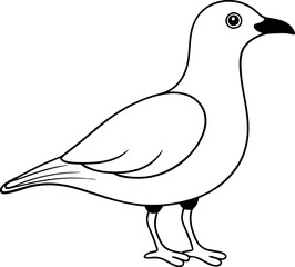 Seagull Line Drawing Vector Illustration