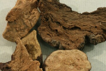 Mixed Cuts of Korean Medicinal Herb Fo-ti on Neutral Surface