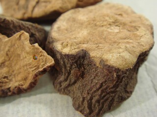 Macro Shot of Traditional Korean Medicinal Root