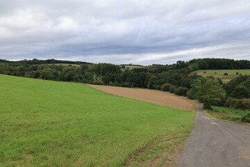 Blick auf die Naturlandschaft des Arnsberger Waldes